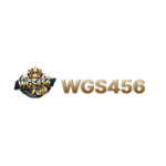 WGS456 Game